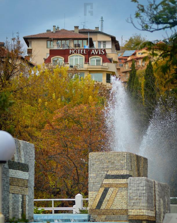 Hotel Avis Sandanski Exteriér fotografie